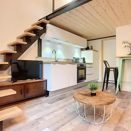 Centre - Superb With Mezzanine Apartment Cannes
